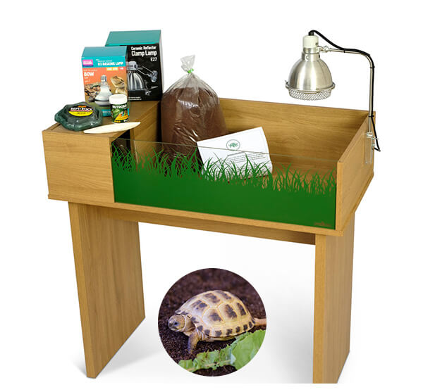 Horsfield Tortoise including a Viv Exotic Viva Starter Tortoise Table and Stand Complete Package