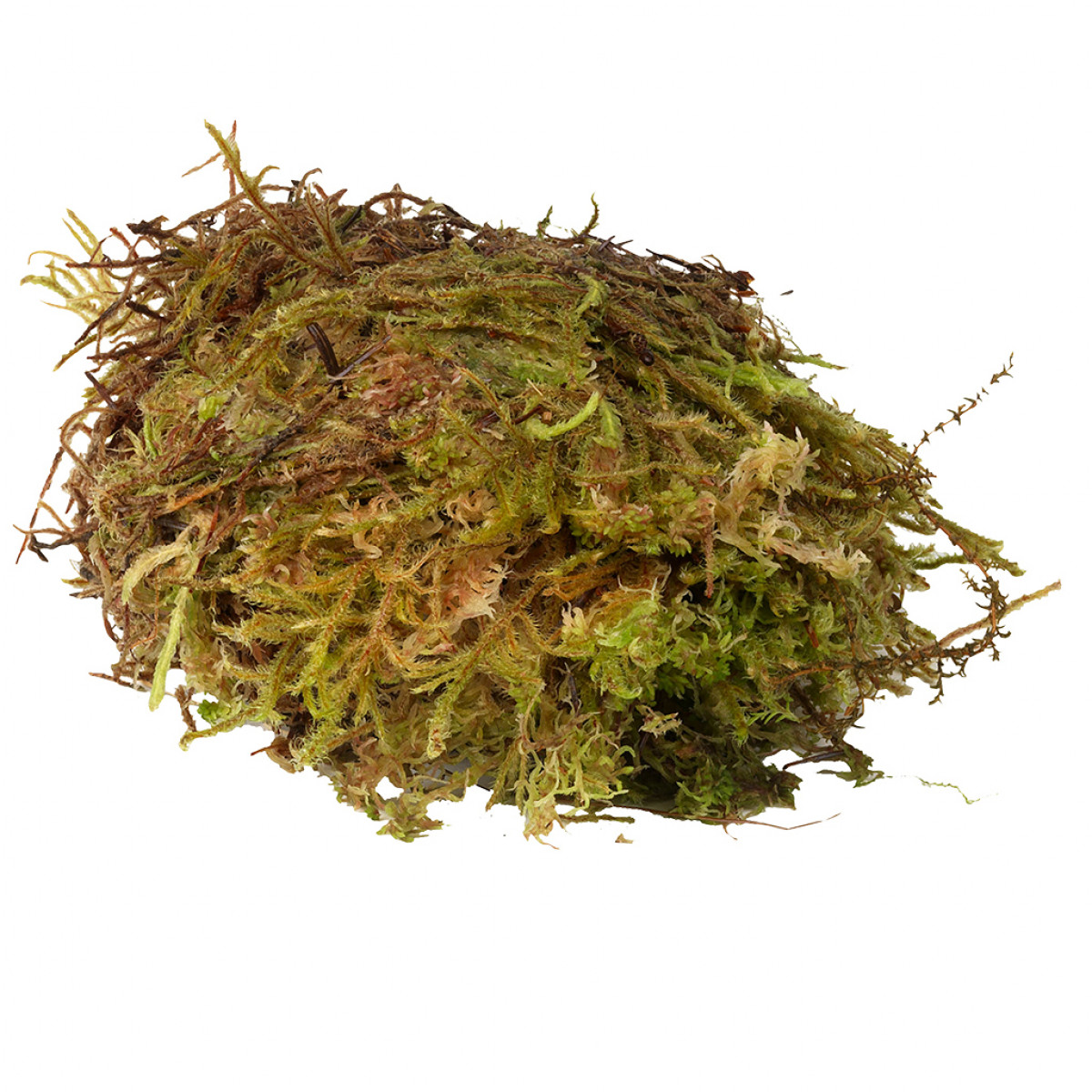 HabiStat Sphagnum Moss, 250g bag