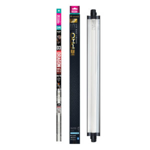 Lumenize Dragon 14% Arcadia Pro T5 Uvb Kit, 24 Watt