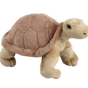 Tortoise Soft Toy, 18cm