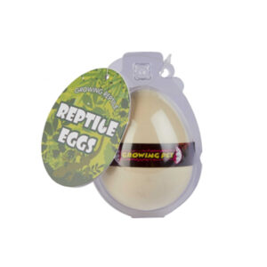 Reptile Hatching Egg, 8cm (Assorted)