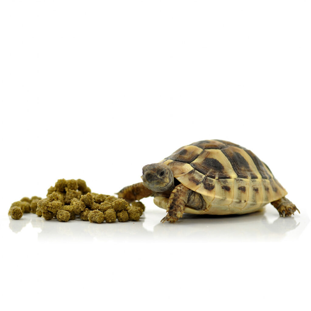 Habistat Tortoise Food - Meadow Mix