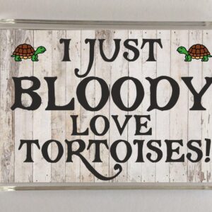 Tortoise Slogan Novelty Magnet - "I Just Bloody Love Tortoises!"