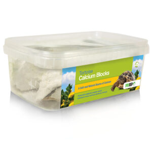 Pro Rep Tortoise Calcium Blocks, 1kg