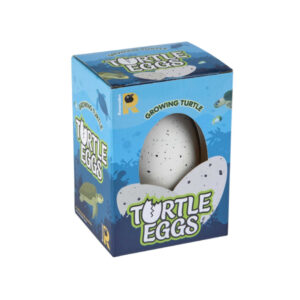 Turtle Hatching Egg, 12cm
